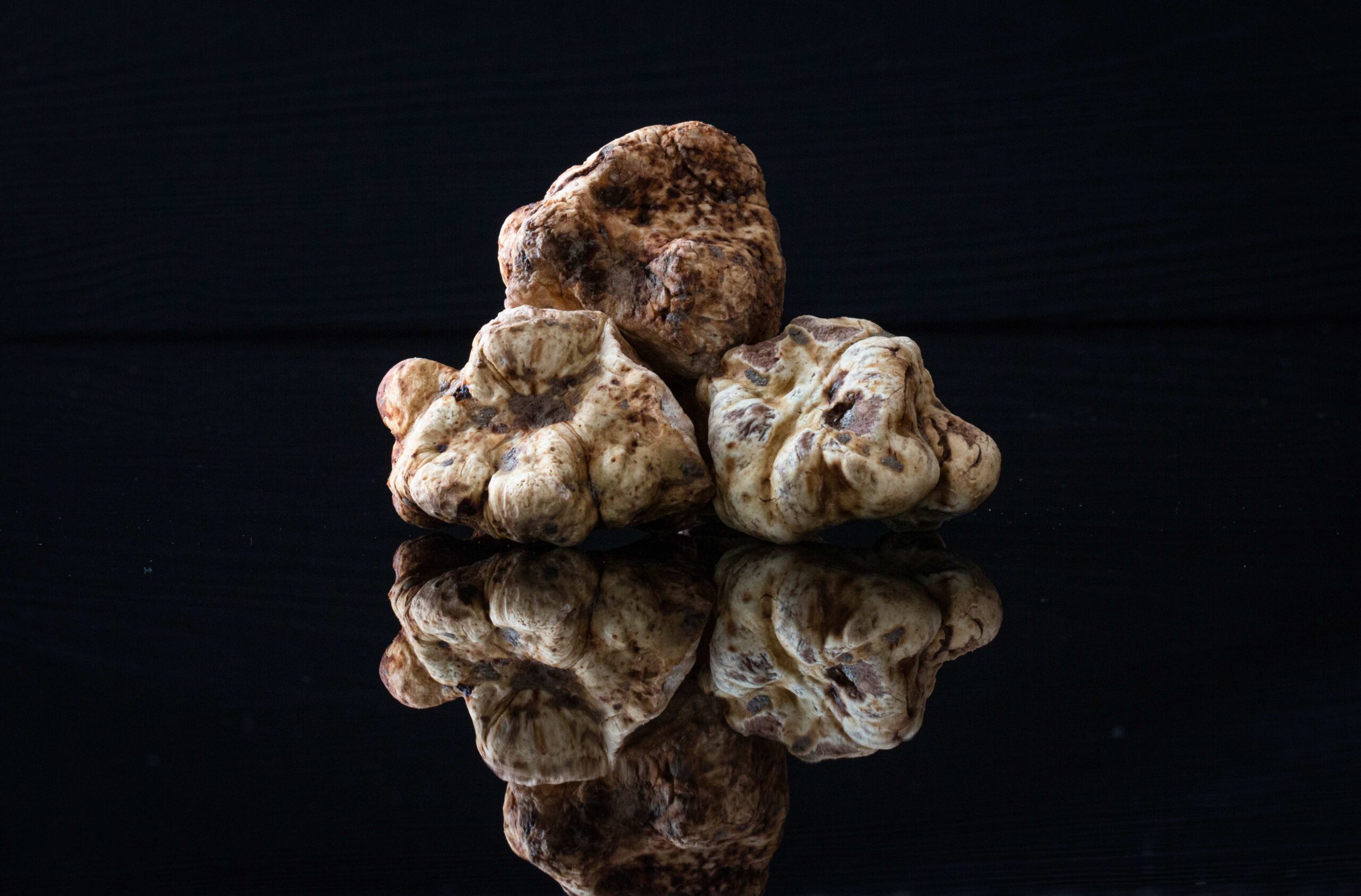 White-Truffles-scaled.jpg